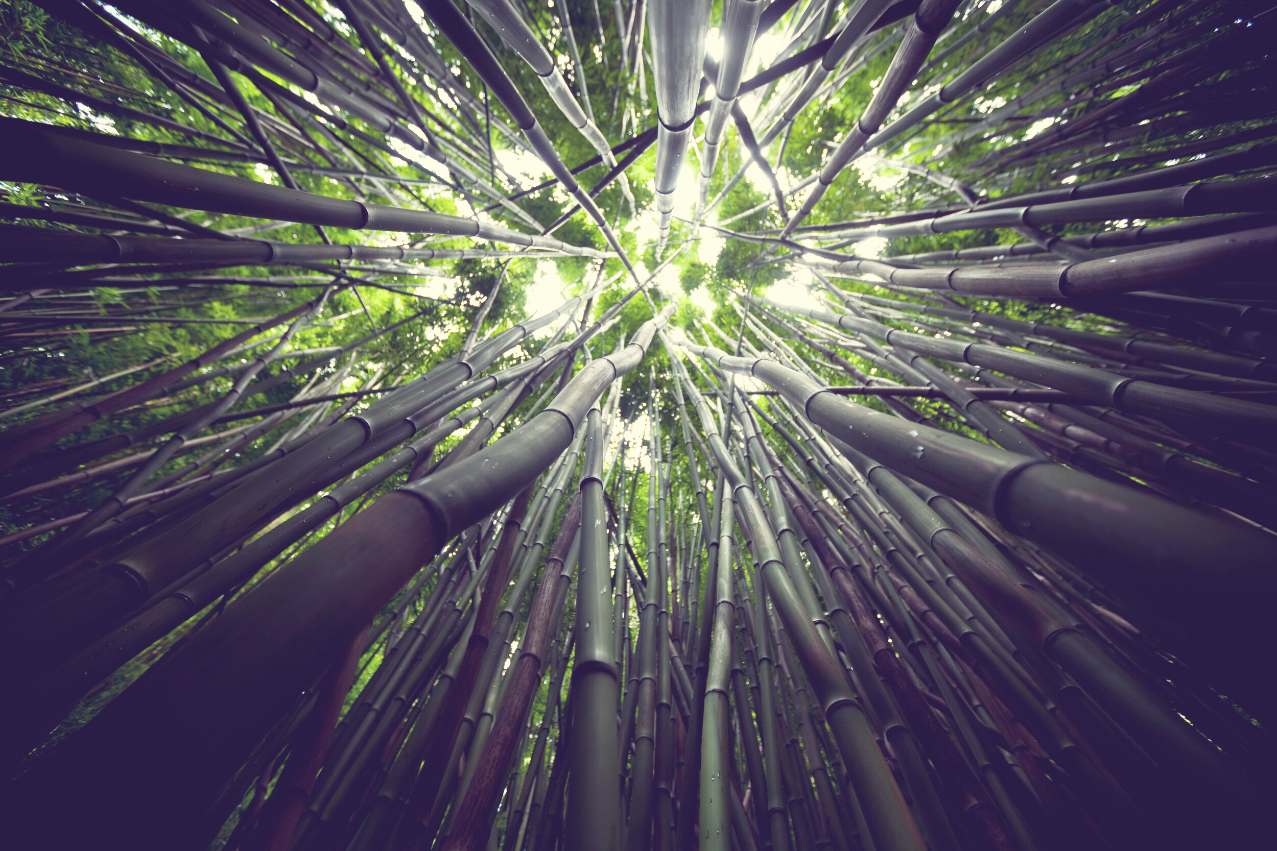 Kaizen Dental Center - Downtown Honolulu photo 4